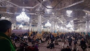 فَرَح الزائرين غير الإيرانيين تزامناً مع الأعياد الشعبانية وميلاد عليّ الأكبر (ع)