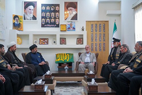 .....Imam Reza shrine servants present along Arbaeen pilgrimage route