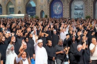 Arbaeen -Haram Imam Reza