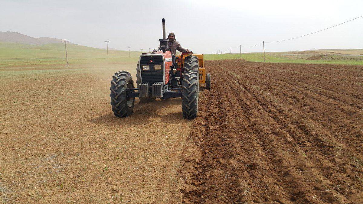 سال 1401برای شرکت کشاورزی رضوی با اقدامات قابل توجهی پیوند خورده است، از توسعه کشاورزی قراردادی و احداث باغات مکانیزه و الگویی تا اجرای الگوی کشت محصولات که مورد تاکید کارشناسان این حوزه است.