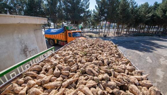 مدیرعامل شرکت قند چناران از پیش‌بینی افزایش 27 درصدی رونق تولید و جذب چغندر قند در این کارخانه در سال «مهارم تورم و رشد تولید» خبر داد.