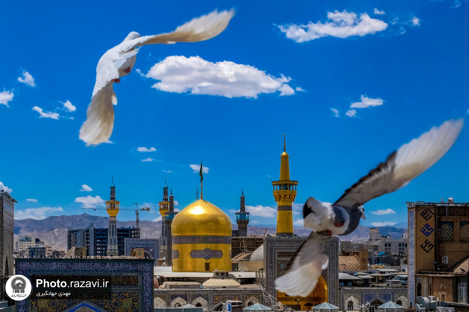 عکس با کیفیت : پرواز کبوتران بر فراز حرم مطهر رضوی