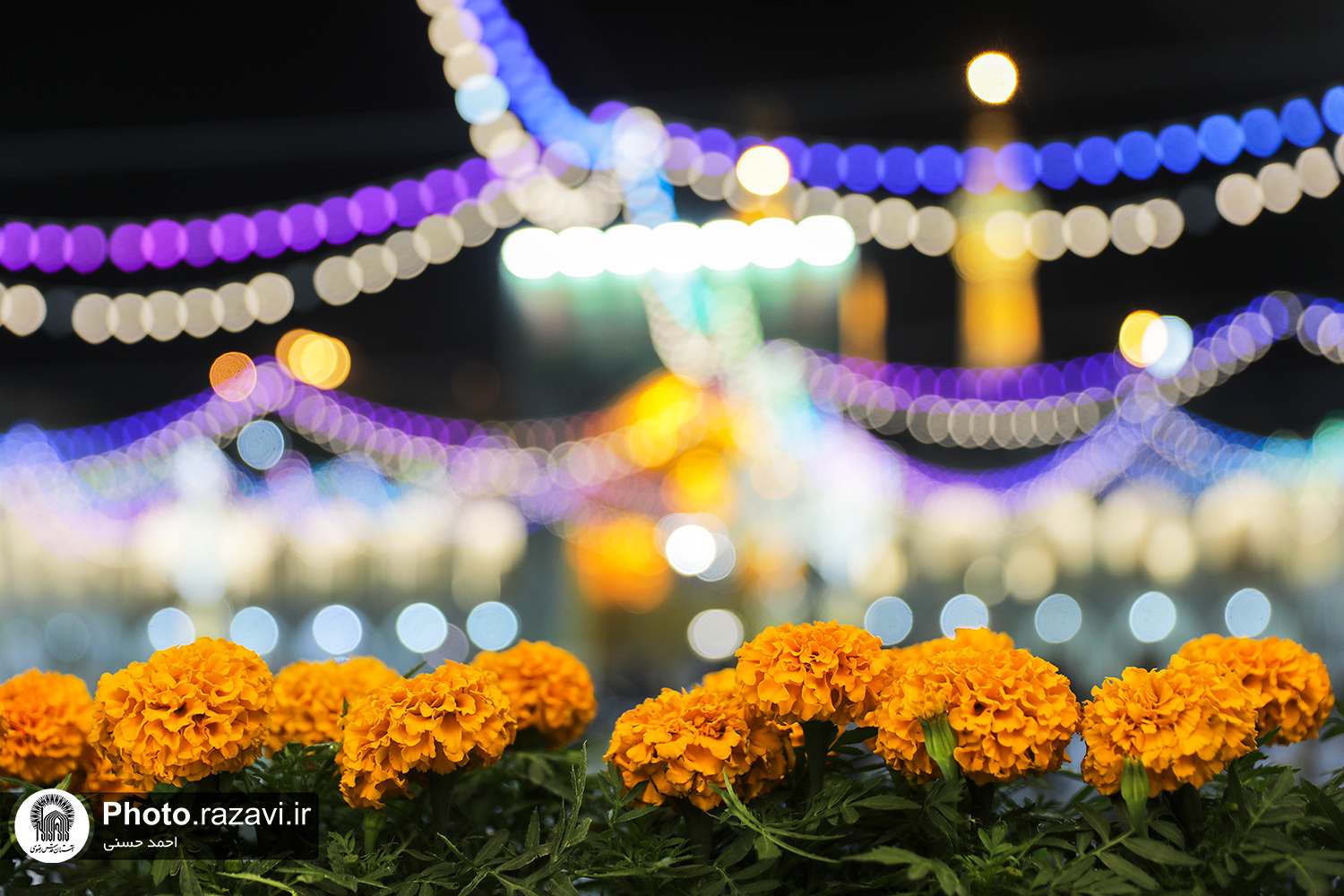 معاون تبلیغات اسلامی آستان قدس رضوی از برگزاری شب شعر آئینی«عصر ارادت» در آستانه میلاد پرخیر و برکت امام رضا(ع) در حرم مطهر رضوی خبر داد.  