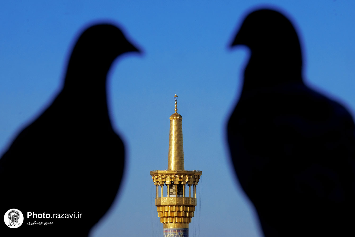 عکس با کیفیت : گلدسته حرم مطهر رضوی