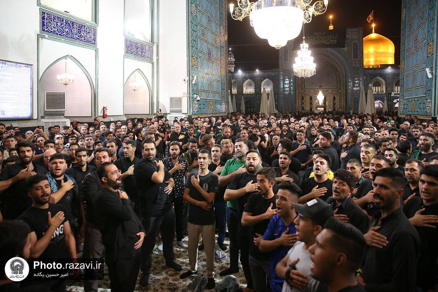 شما غریب نیستی آقای امام رضا (ع)! اینجا، در مشهد، در این سرزمینِ کیلومترها دور و غریب افتاده از وطن‌تان مدینه، آن‌قدر تمام مردم ایران دوستتان دارند و می‌میرند برای حضرتتان که حالا شده مملکت‌تان. شده همان بقعه مبارکه‌‌ی أرض طوسِ شاهِ أنیس النفوسی که مغناطیس دل‌های ملهوف است و شما در آن سلطانی می‌کنید تا  دست هیچ سائلی را که به استغاثه دراز شده تا دامان پنجره فولادتان را بگیرد، خالی برنگردانید. 