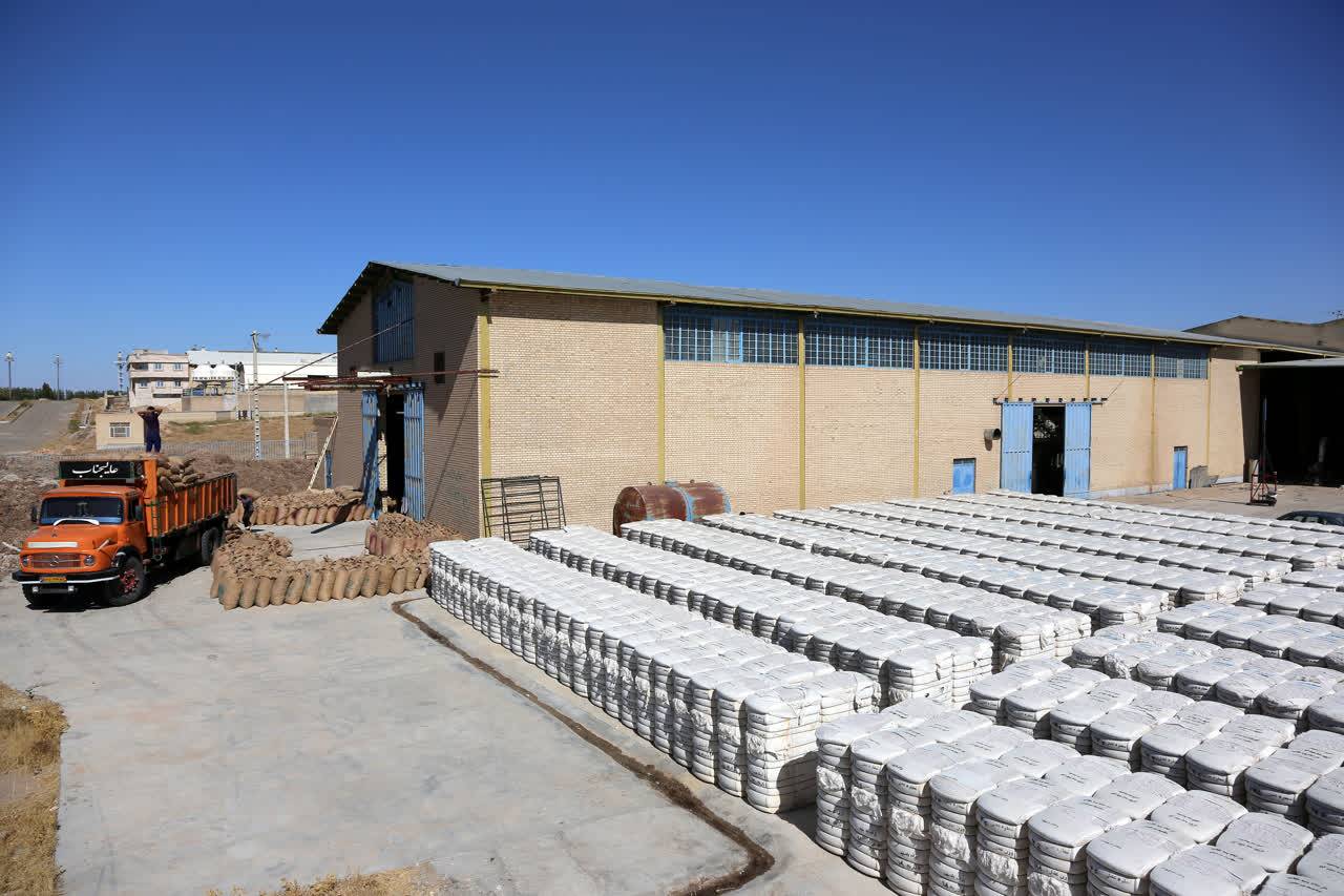 آغاز فعالیت کارخانه فرآوری پنبه در منطقه ویژه اقتصادی سرخس همزمان با شروع فصل برداشت