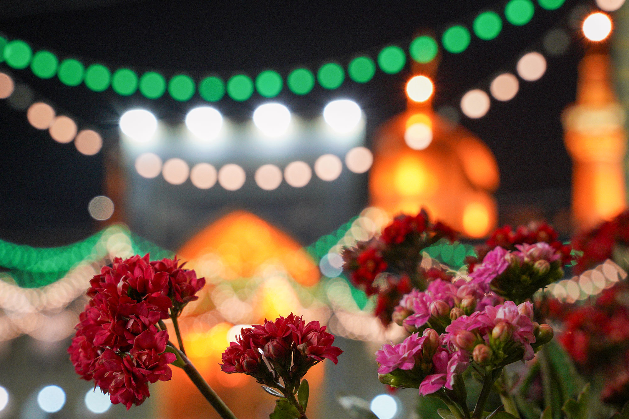 حال و هوای حرم مطهر رضوی در شب عید مبعث
