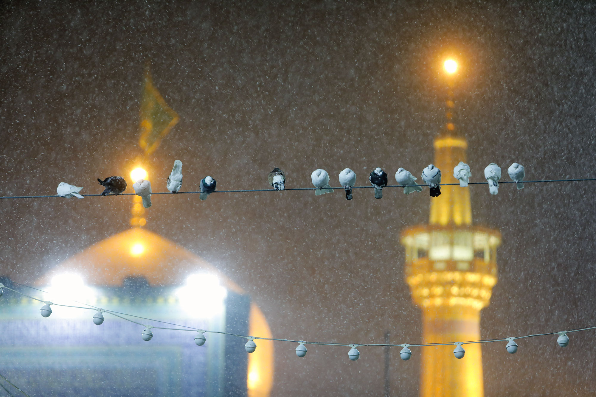 بارش برف شبانگاهی در حرم مطهر رضوی