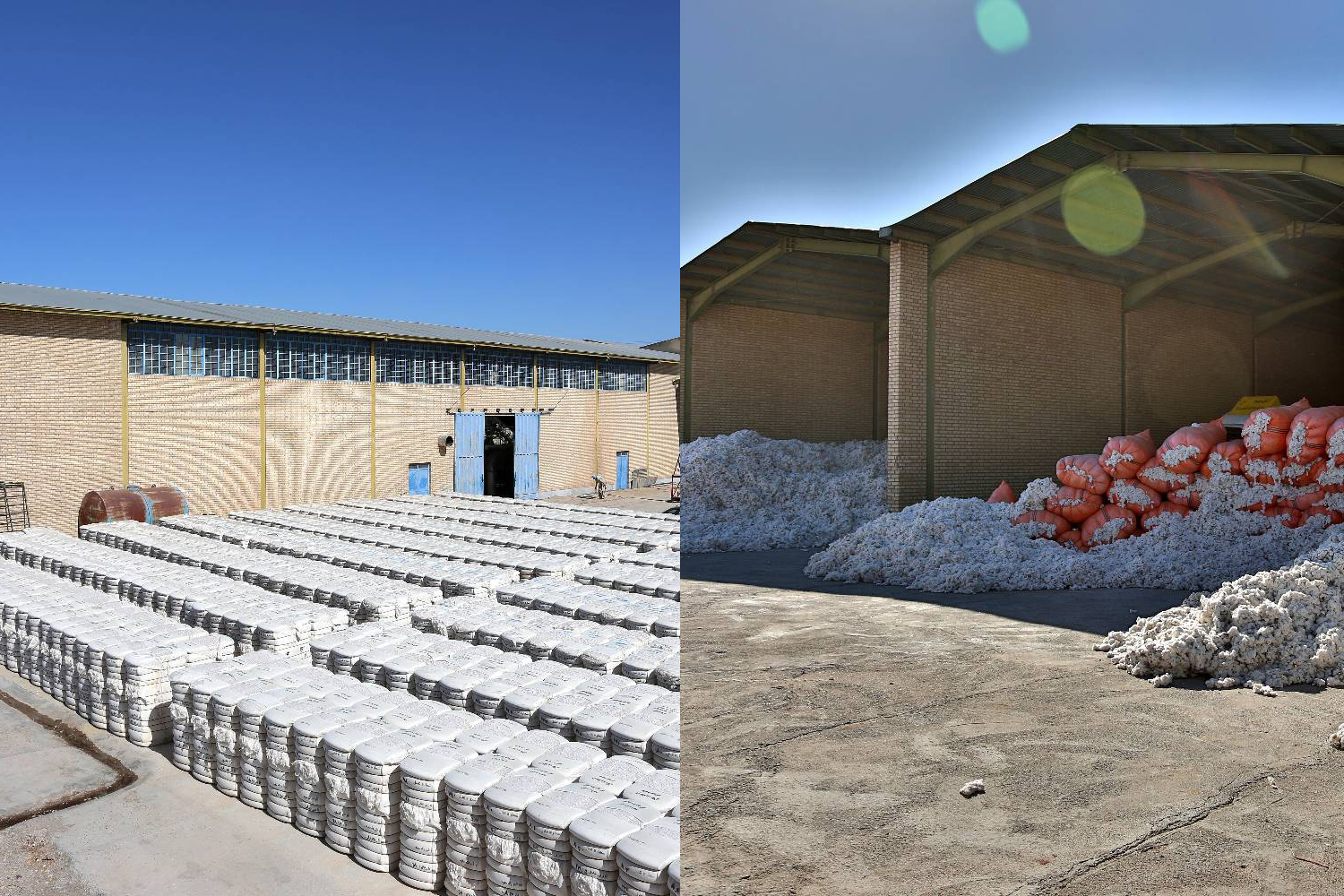 آغاز فعاليت كارخانجات پنبه‌پاك‌كني در منطقه ویژه اقتصادی سرخس 