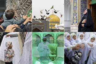 تصاویر برگزیده عکس رضوی در آذر ماه ۱۴۰۴