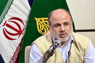 آغاز فعالیت کارگروه جوانی جمعیت در فارس/ استقرار ۴۷ شورای مشورتی