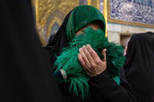 پرهای بهشتی