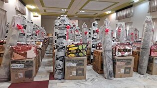 خادم‌یاران رضوی استان کرمان حامی ازدواج جوانان