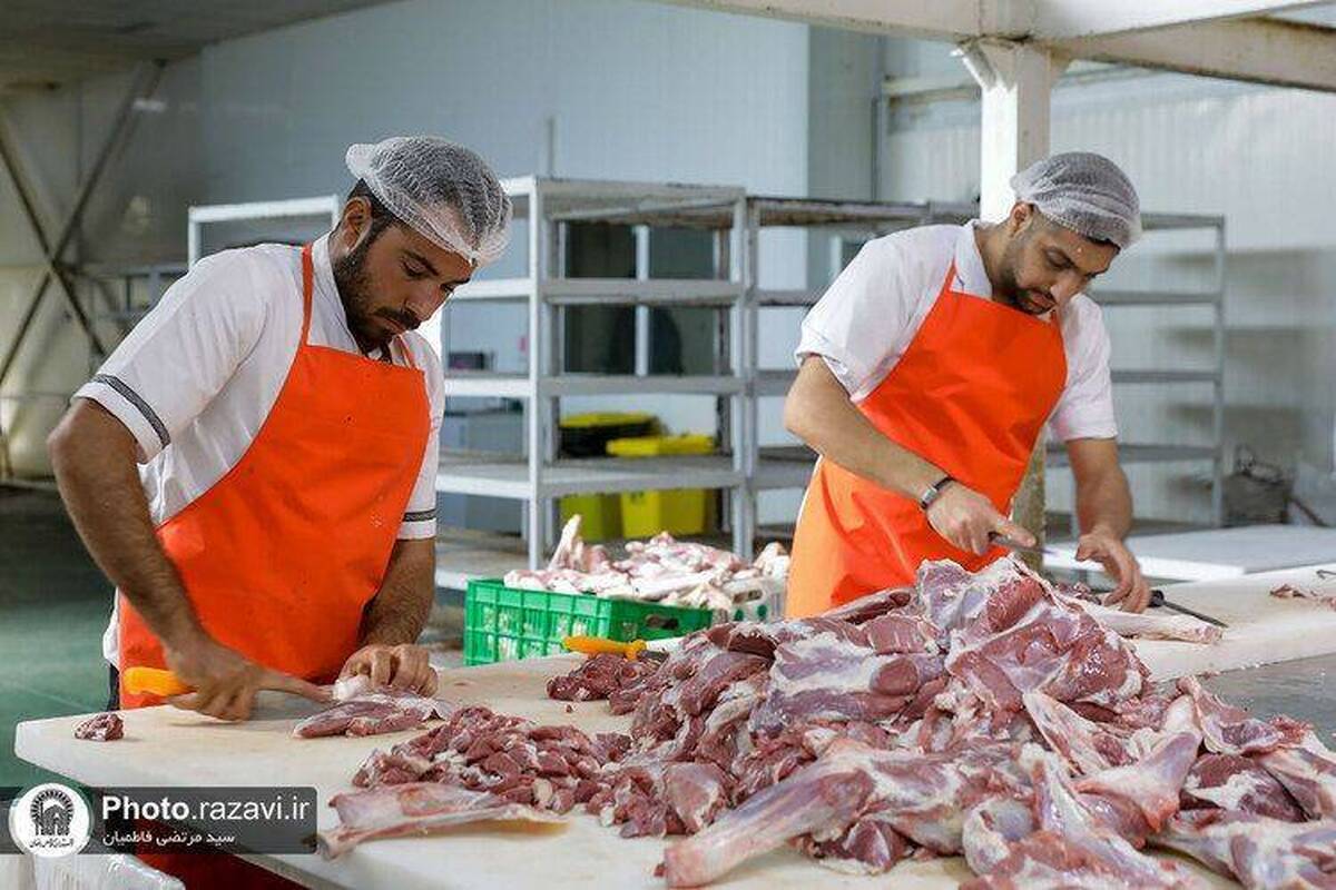 مرحله دوم طرح «نذر قربانی برای محرومین» همزمان با نیمه شعبان اجرا شد