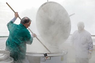 موکب کفشداران حرم مطهر رضوی در ماه مبارک رمضان