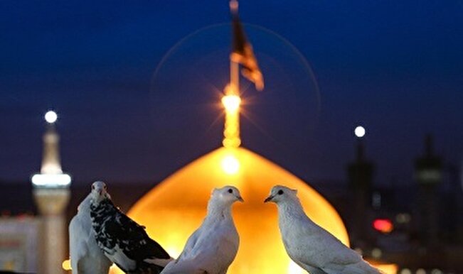 تولید و پخش بیش از ۱۸۰۰ دقیقه برنامه «کبوتر حرم» از صدا و سیمای چهارمحال و بختیاری