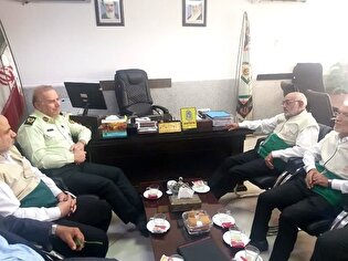 تجلی فرهنگ رضوی در صیانت از امنیت