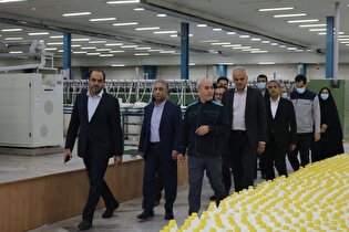 گام‌های مؤثر در راستای توسعه صنعت نساجی نیشابور
