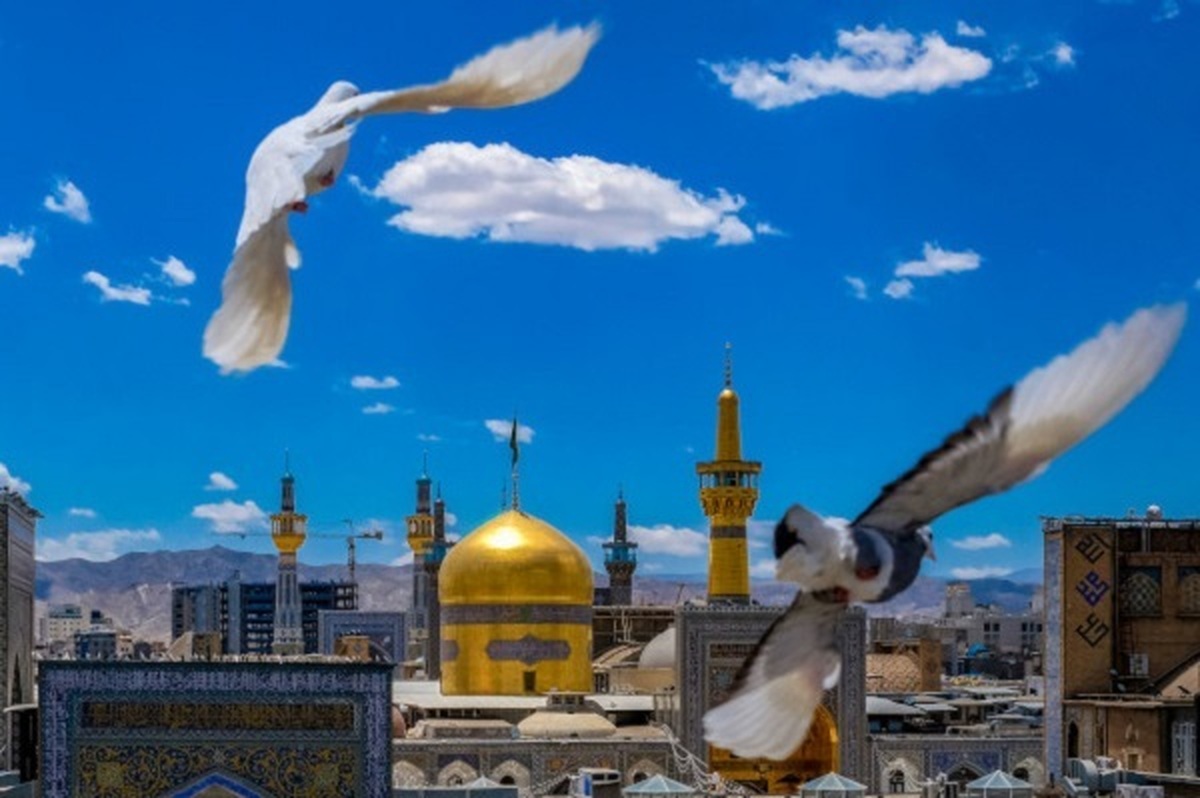 برگزاری جلسه آموزش ثبت فعالیت در سامانه خادم‌یاری شمیرانات