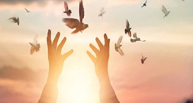 در لحظه آخر؛ نذر رهایی در شیراز جان محکوم را نجات داد / جلوه‌ای از کرامت امام رضا (ع) در فارس