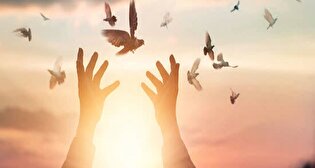 در لحظه آخر؛ نذر رهایی در شیراز جان محکوم را نجات داد / جلوه‌ای از کرامت امام رضا (ع) در فارس