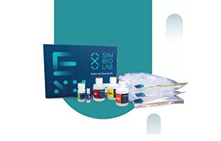 شتاب نوآوری در شرکت پارس سیمرغ دارو دماوند؛ آینده امیدبخش در ژن درمانی