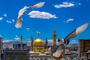 کاروان دل‌های صادق از کوه چنار فارس تا مشهدالرضا