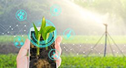 گام‌های مؤثر شرکت کشاورزی رضوی در بهره‌برداری پایدار از منابع آب‌وخاک