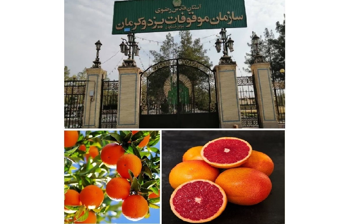 توزیع مستقیم محصولات باغی آستان قدس در بازار‌های استانی