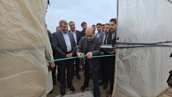 تداوم کرامت رضوی؛ بهره‌برداری از یک هزار طرح اشتغالزایی در منطقه سیستان