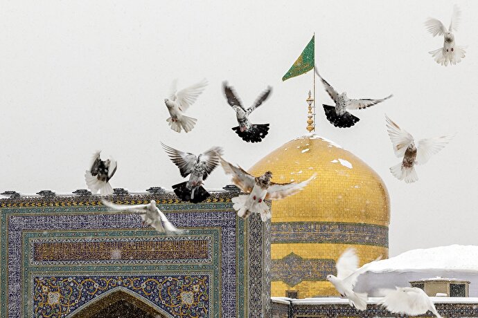 عکس با کیفیت : پرواز کبوتران در حرم امام رضا علیه السلام