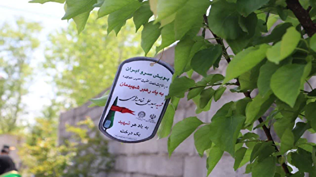 کاشت ۱۵۰ اصله نهال به مناسبت دهه کرامت در خمام