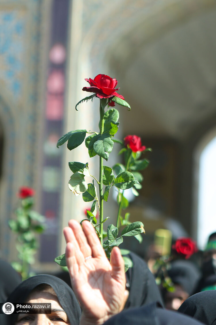 عزاداری زنان نوغان در حرم مطهر رضوی