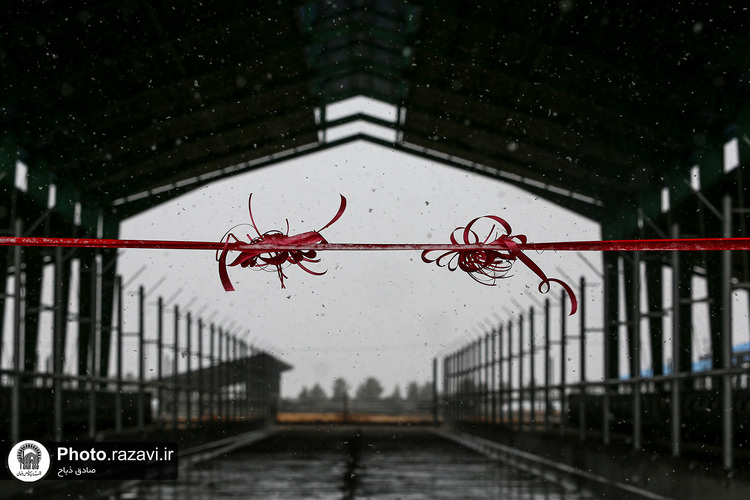 افتتاح سالن فری استال گاوداری فریمان