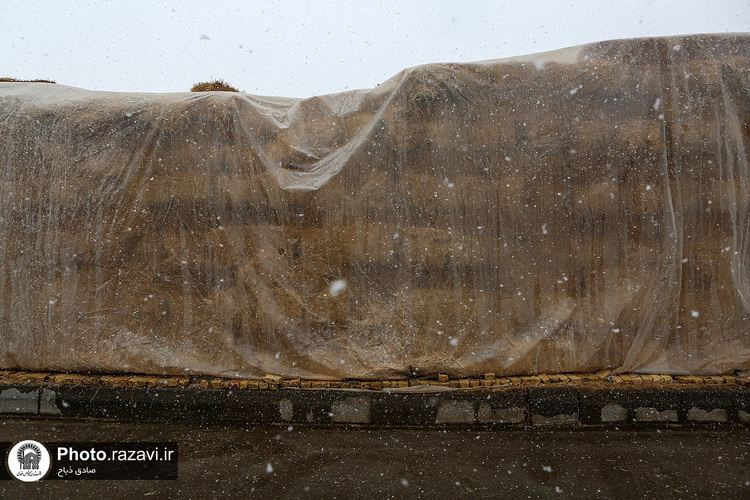 افتتاح سالن فری استال گاوداری فریمان