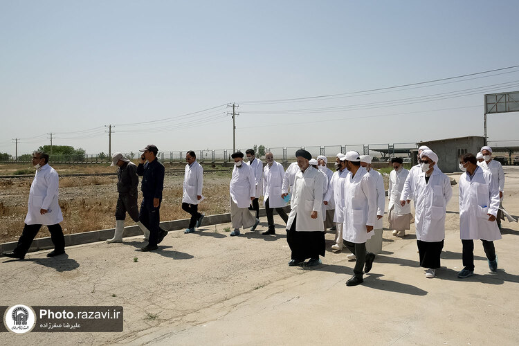 بازدید مشاوران وقف و نذر از واحدهای کشاورزی، لبنی و دامپروری رضوی