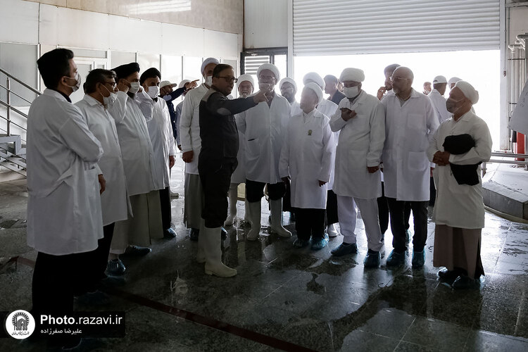 بازدید مشاوران وقف و نذر از واحدهای کشاورزی، لبنی و دامپروری رضوی