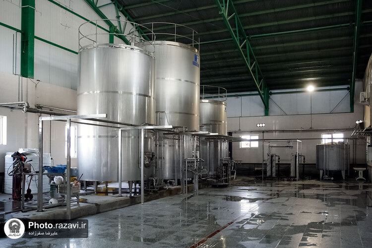 بازدید مشاوران وقف و نذر از واحدهای کشاورزی، لبنی و دامپروری رضوی