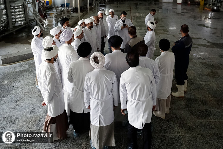 بازدید مشاوران وقف و نذر از واحدهای کشاورزی، لبنی و دامپروری رضوی