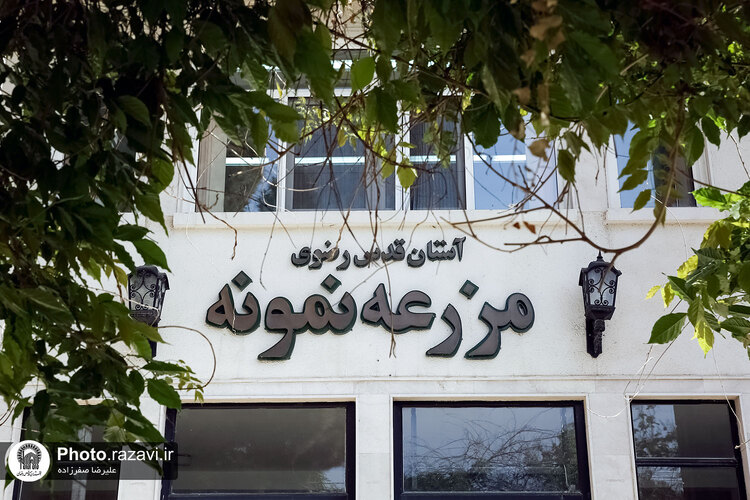 بازدید مشاوران وقف و نذر از واحدهای کشاورزی، لبنی و دامپروری رضوی