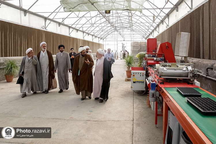 بازدید مشاوران وقف و نذر از واحدهای کشاورزی، لبنی و دامپروری رضوی