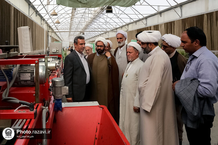 بازدید مشاوران وقف و نذر از واحدهای کشاورزی، لبنی و دامپروری رضوی