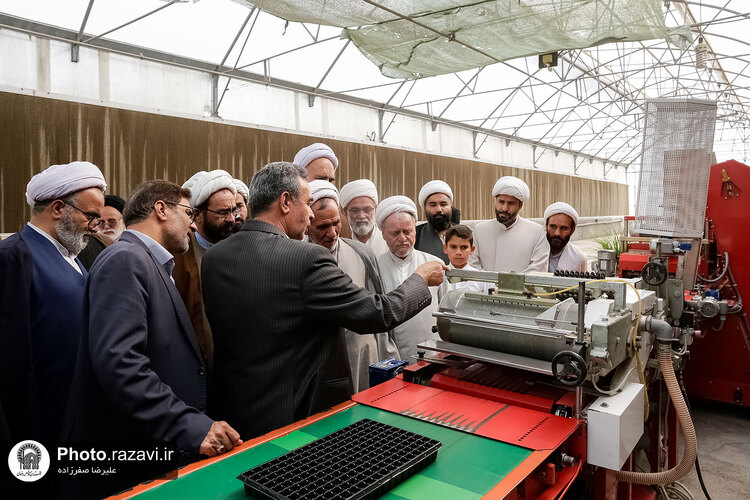 بازدید مشاوران وقف و نذر از واحدهای کشاورزی، لبنی و دامپروری رضوی
