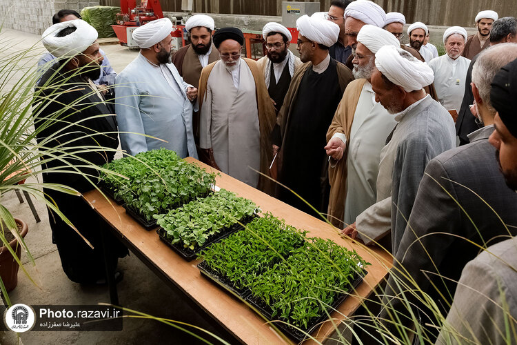 بازدید مشاوران وقف و نذر از واحدهای کشاورزی، لبنی و دامپروری رضوی