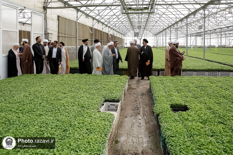 بازدید مشاوران وقف و نذر از واحدهای کشاورزی، لبنی و دامپروری رضوی