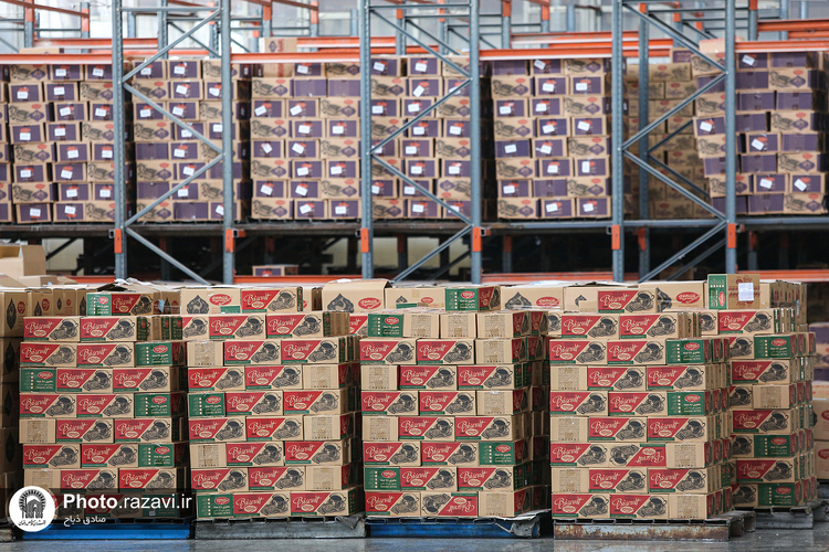 بازدید جمعی از خادمین و خادمیاران حرم مطهر از شرکت نان قدس رضوی