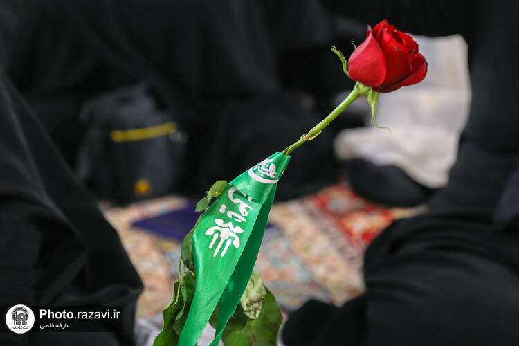 سوگواره زنان نوغان