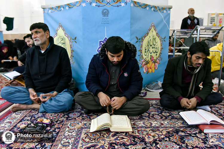احیا شب نیمه شعبان زائران اردو زبان در حرم مطهر رضوی