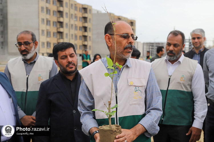 کاشت درخت مثمر در شهر بندرعباس