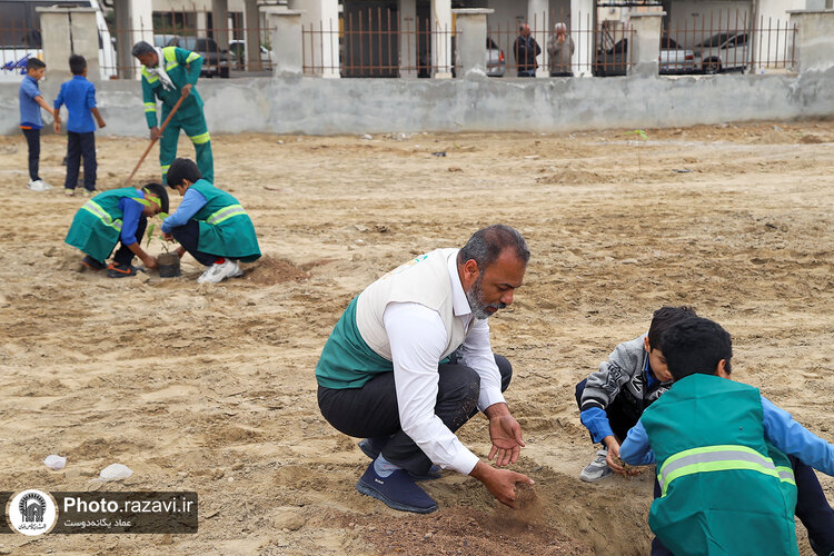 کاشت درخت مثمر در شهر بندرعباس